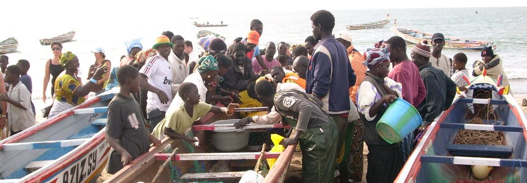 Vismarkt Gambia