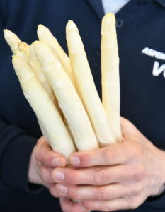 Asperges van Vos Brabantse wal