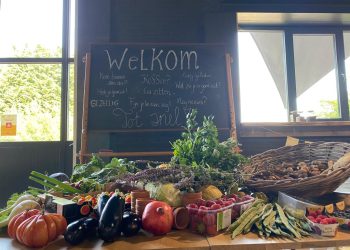 ingrediënten Kookworkshop bij de boer