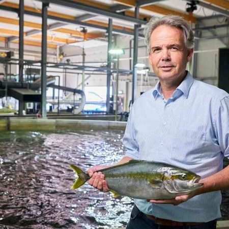 king fisch copmanie